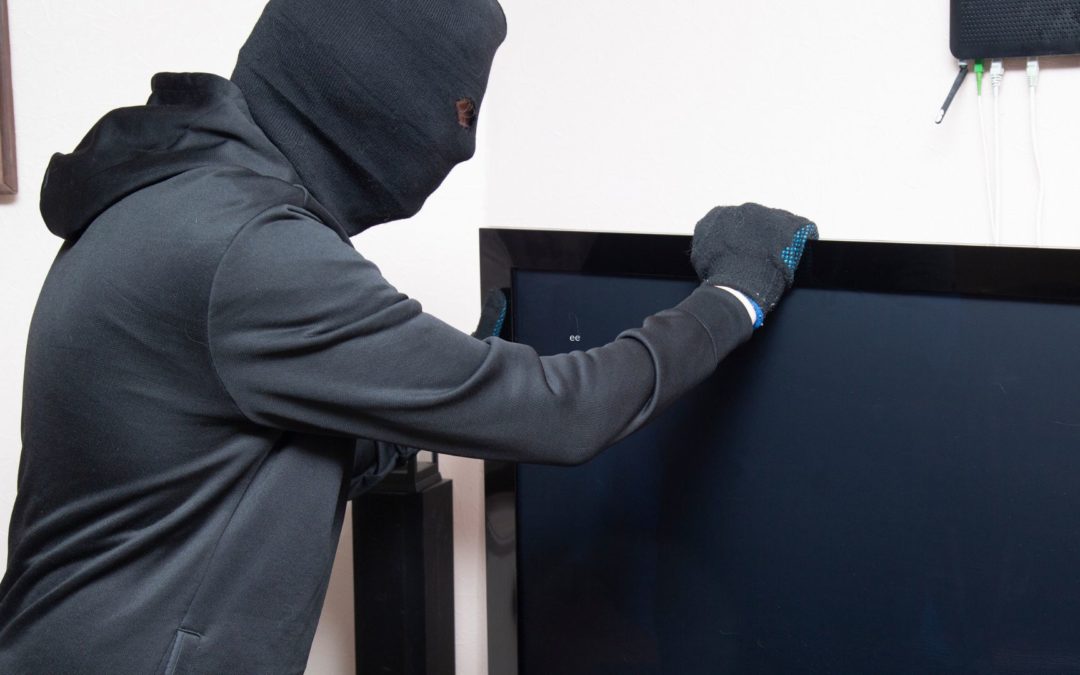 A burglar steal a TV from an electronics store owner who needs to implement loss prevention tips